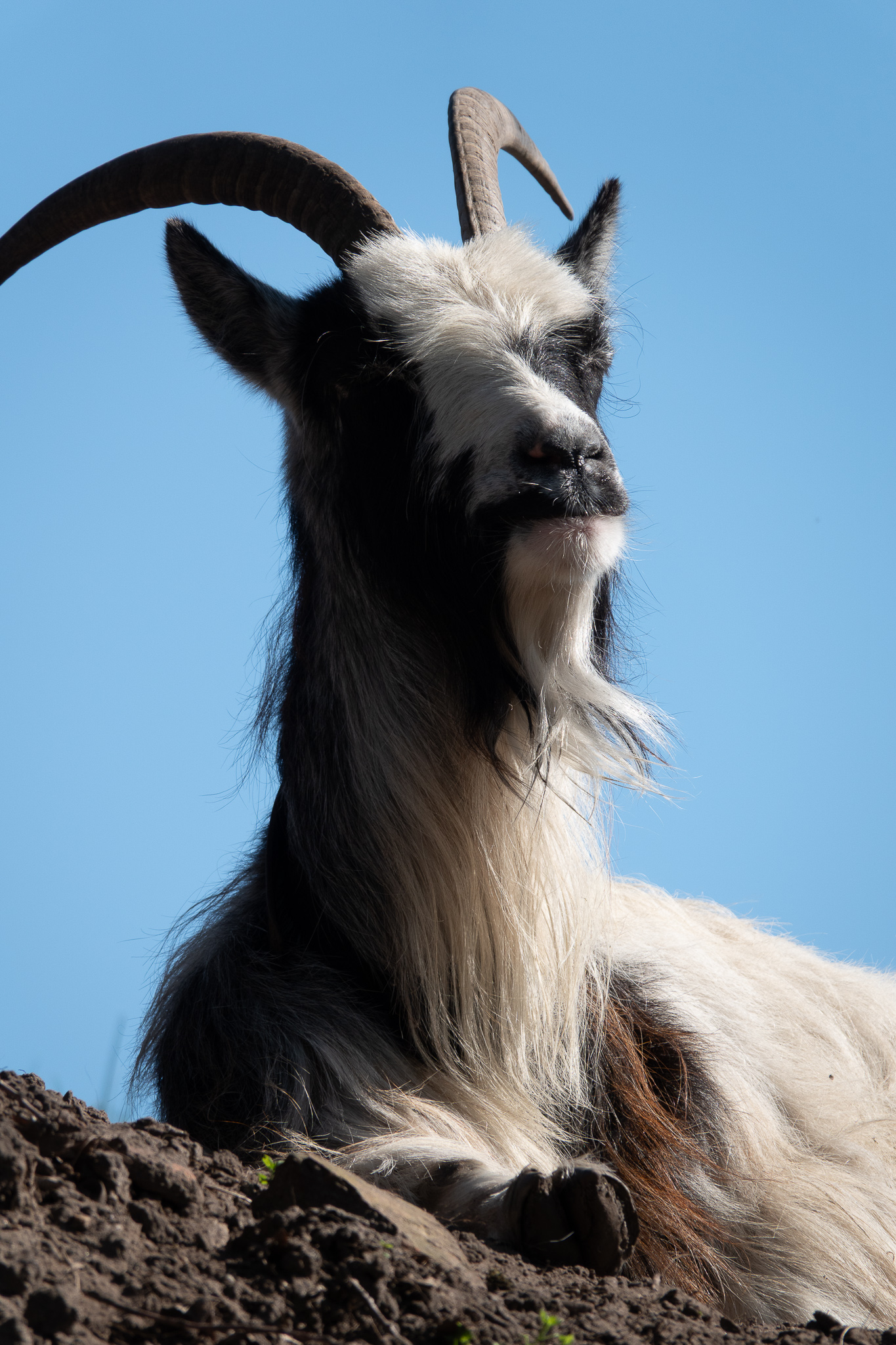 20260321   Fototrip Maart   Naarden vesting   051